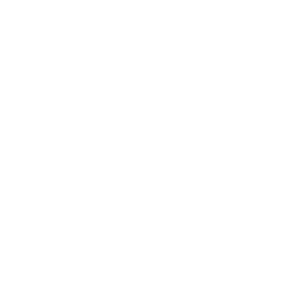 Stoke and Rye White Logo